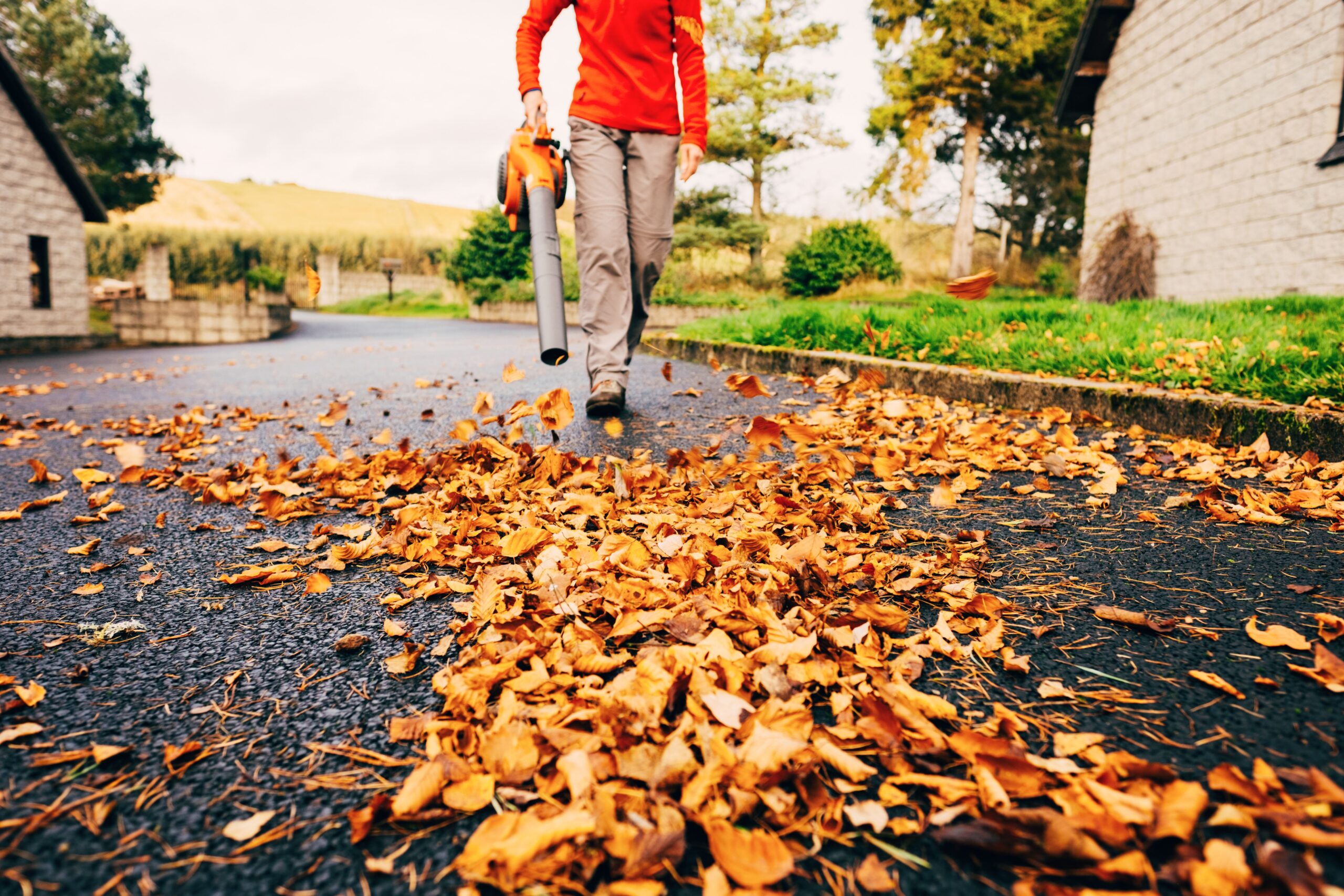 Fall Cleanup